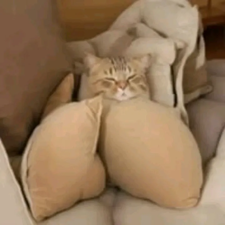 @xxxx13u