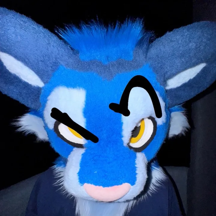 benjithebluetiger