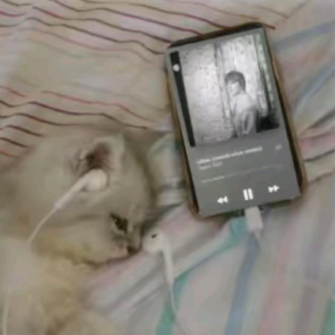feels - suara asli