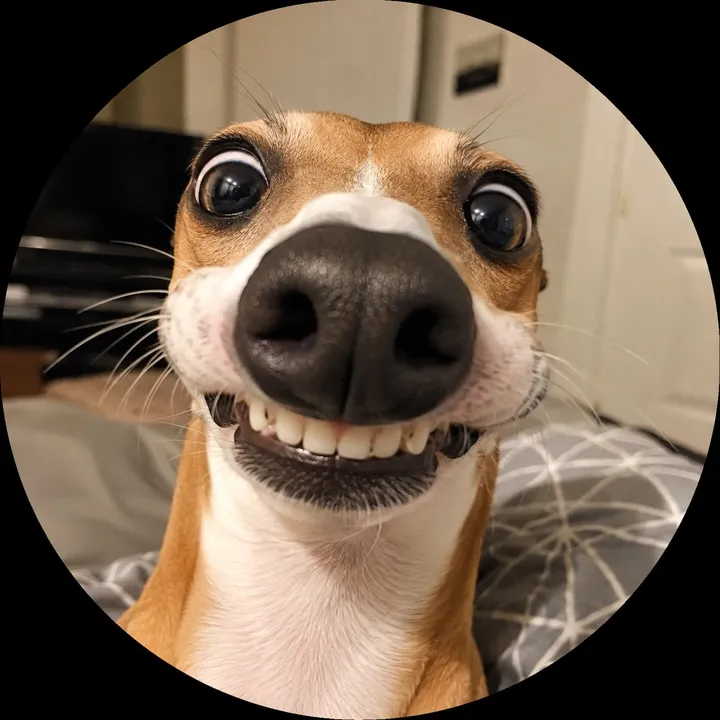 @fluffyfails1