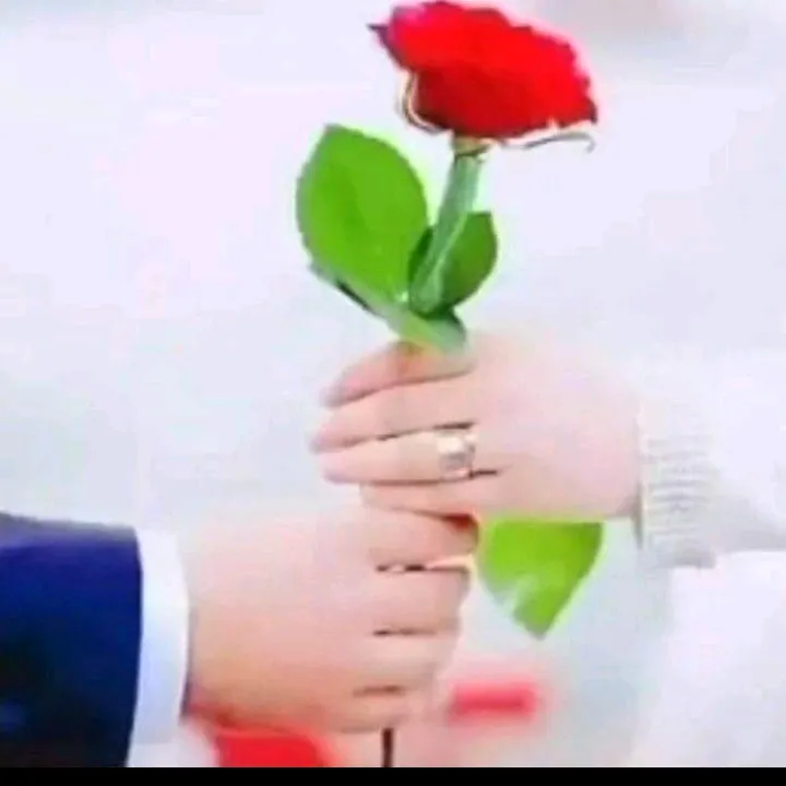 amranaadan2233