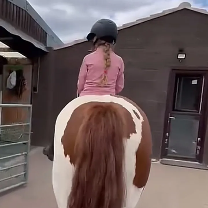 @lottievlogs_horses