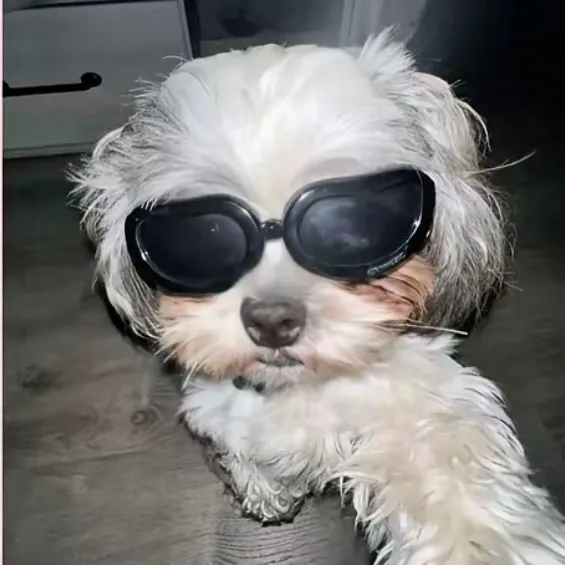 sunnyyyyyyyyyyy2