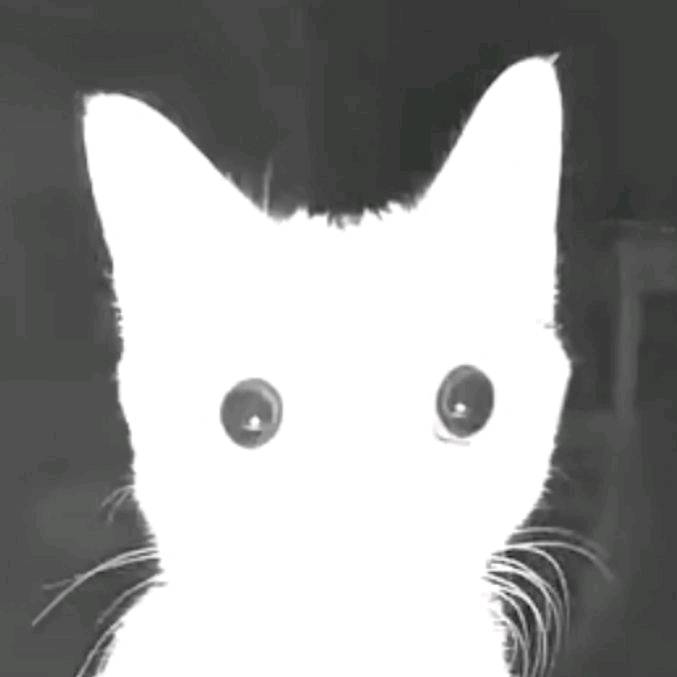 yapper_box