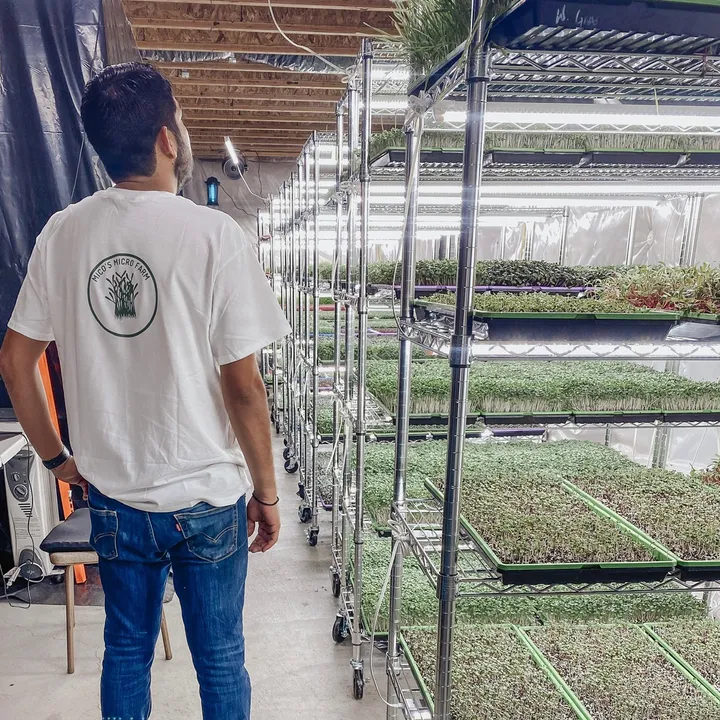 @micosmicrofarm
