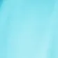 bil_lieex