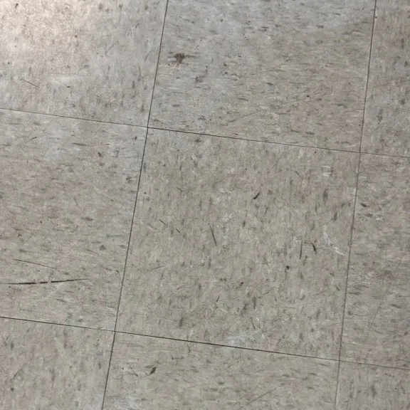 @ffcapo502