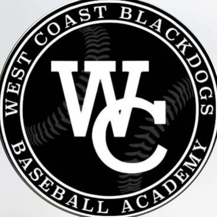 wcblackdogs.ie