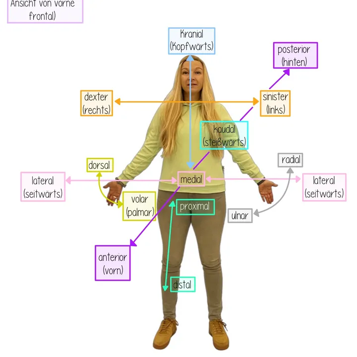 nurse_2_be