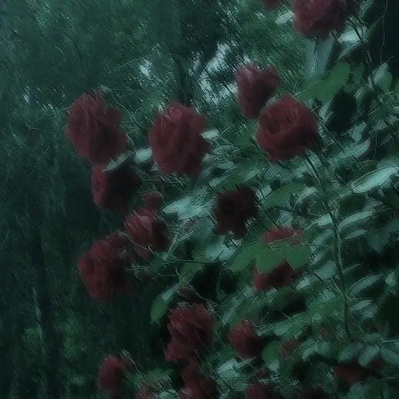 ｡･ﾟ♡ﾟ･｡ ✧   ｡･ﾟ♡ﾟ･｡ ✧   ｡ - suara asli