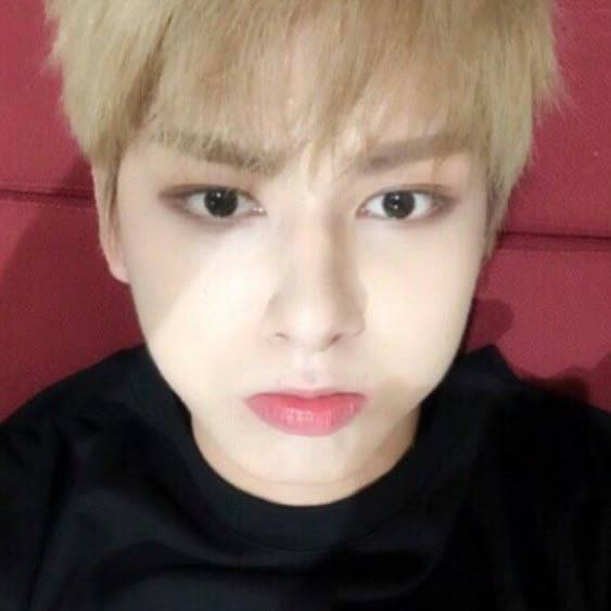 wonwooglazer