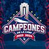 _team_tiburones