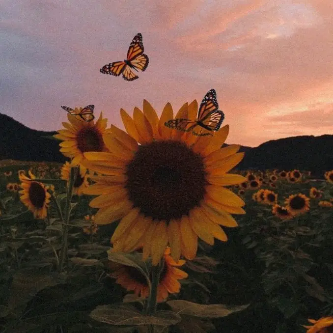 @MaryCruz🌻🎀💜 - suara asli