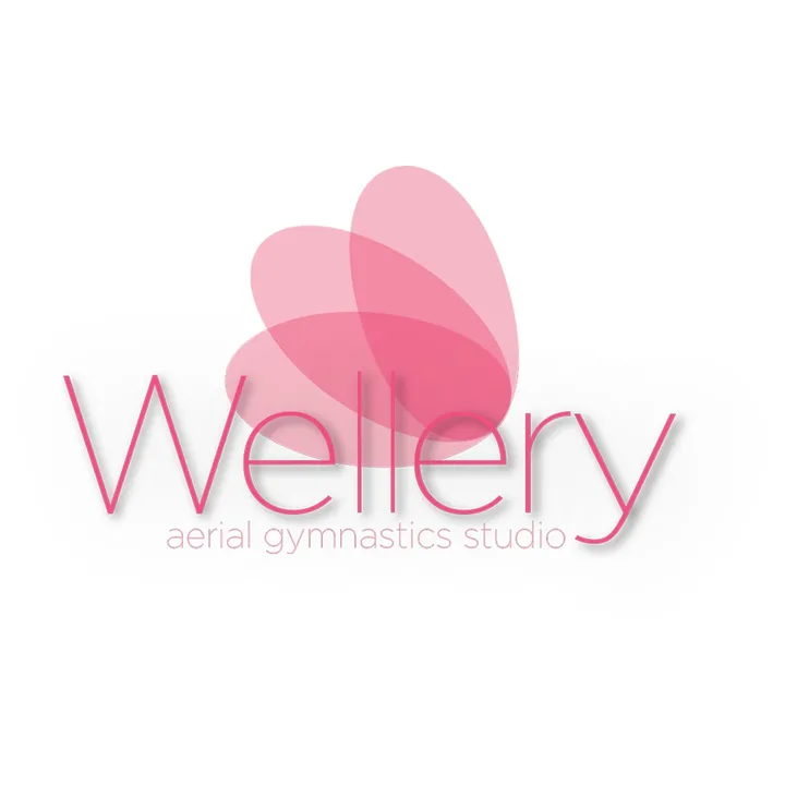 wellery.aerial.studio