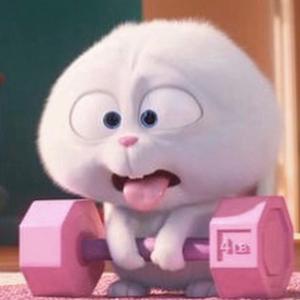 DIANA MAUX - @dianamaux TikTok Analytics | Profile, videos & hashtags