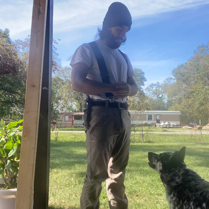 _catswithextramsg_