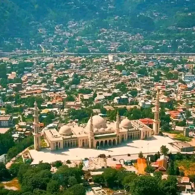 @user272633236728