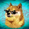 dogeshoe