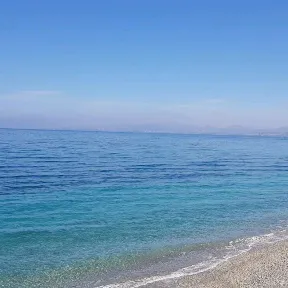 @badshak1511