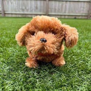 @funwithpuppy0