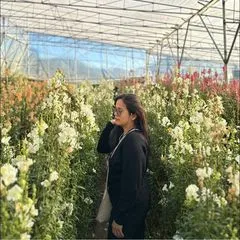 maphirose20