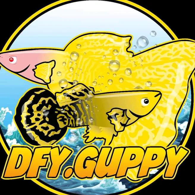 dfy_guppy