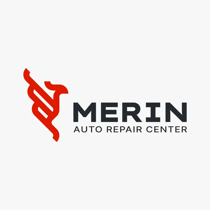 @merin.motors