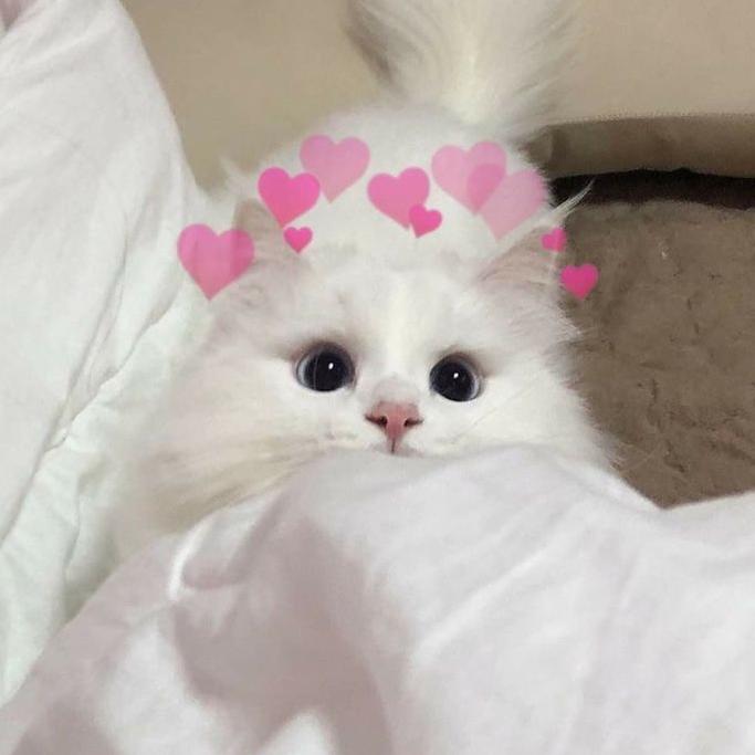 Sofii!😻💗 - suara asli