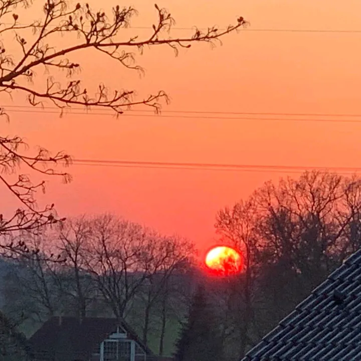 zahnzaubermaeuschen