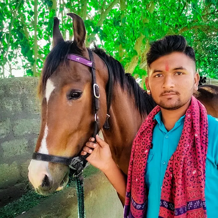 divyarajsinh__khadba