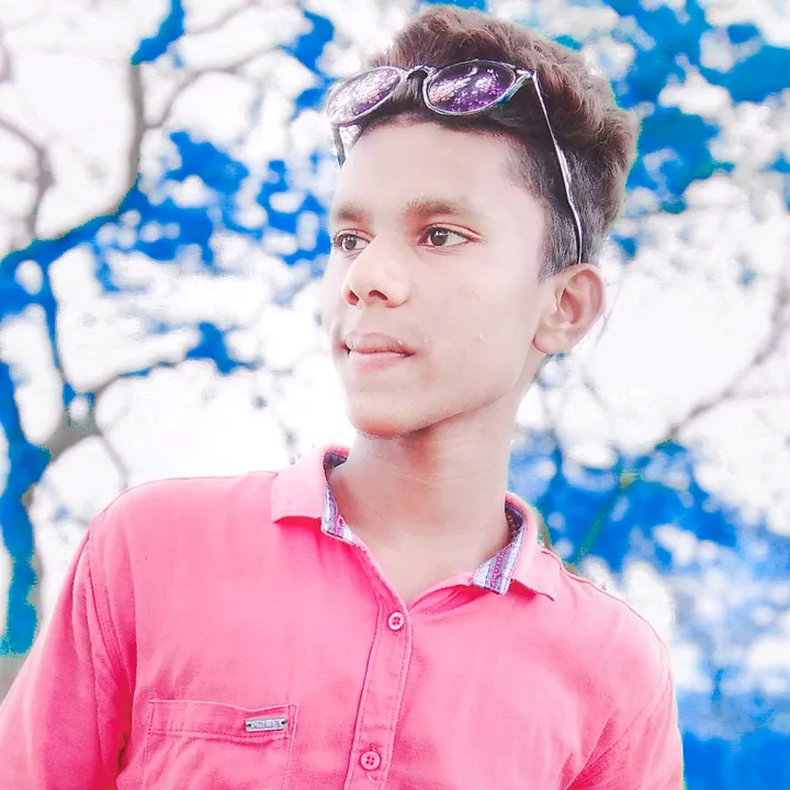 pinku_dev