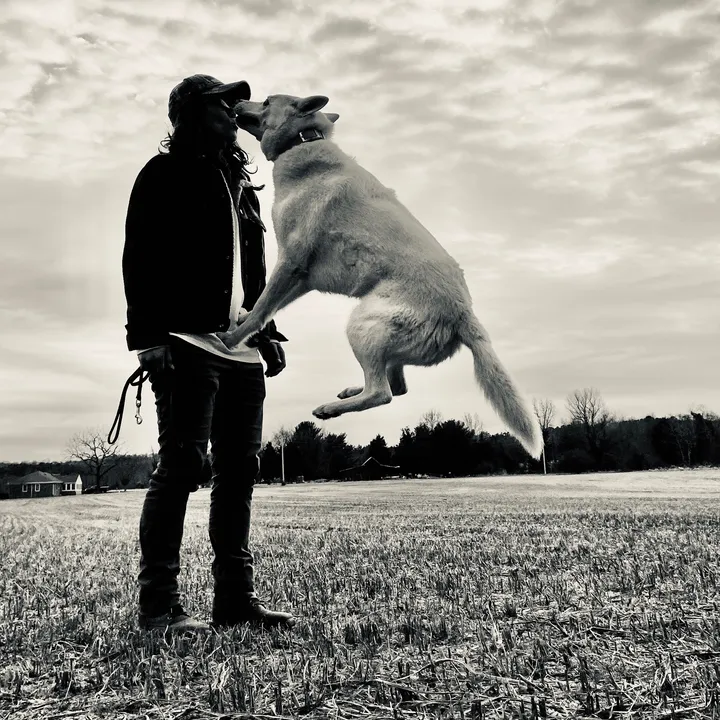 @outbounddogs