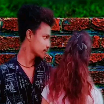 bibinchaithu23208224