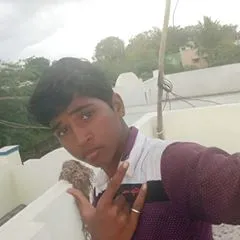 selvamselvam4590