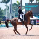 @hannahdressage @hannahdressage