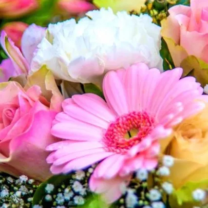 @12smilexx