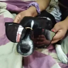 pablito_mmd