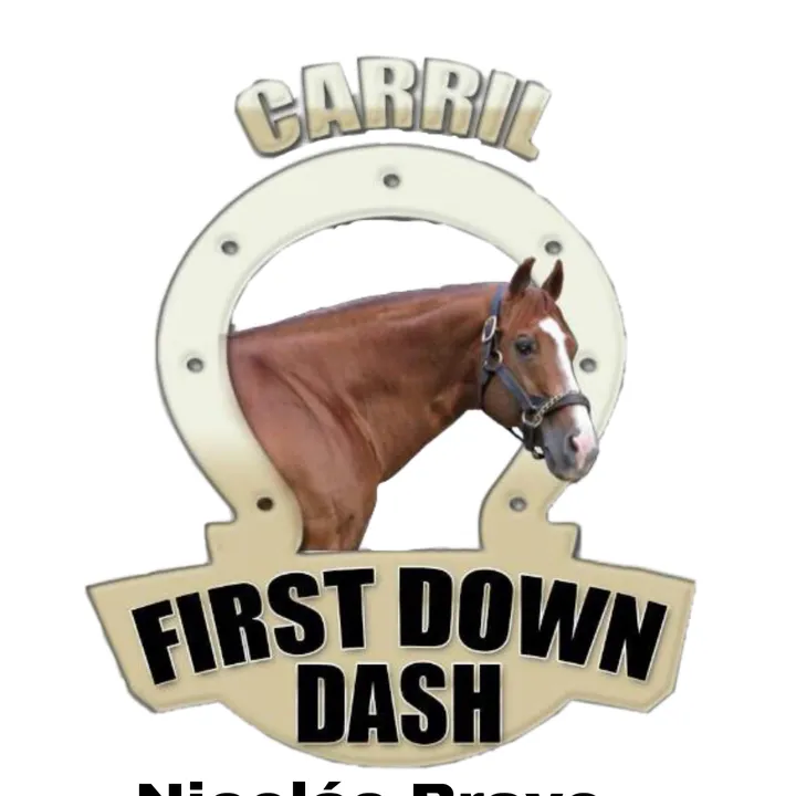 @carrilfirstdowndash
