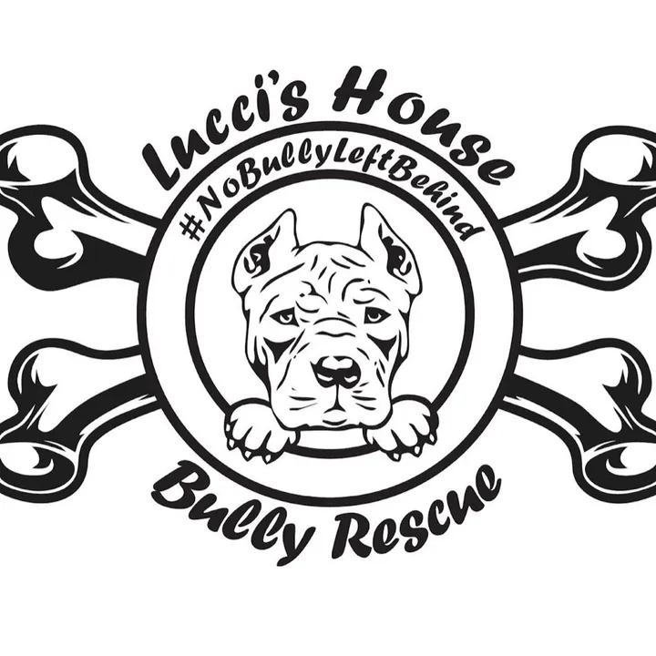 @luccishouse