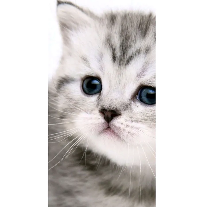 cute___honey
