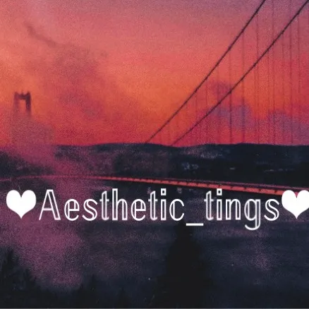 @_aesthetic_tings_2
