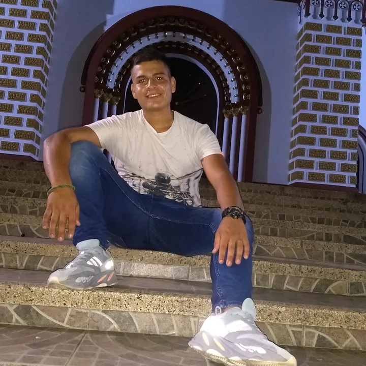 nelsonhernanbravo