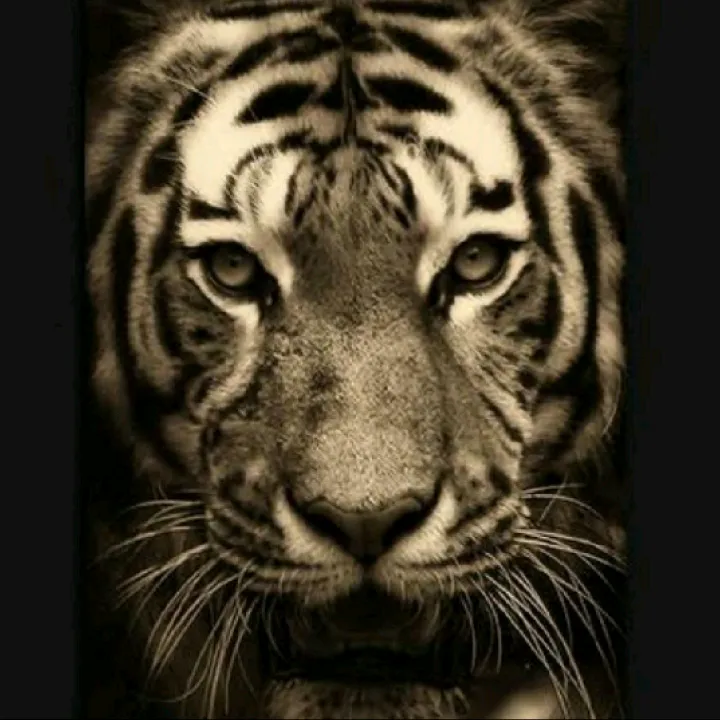 @lahoripalwan123