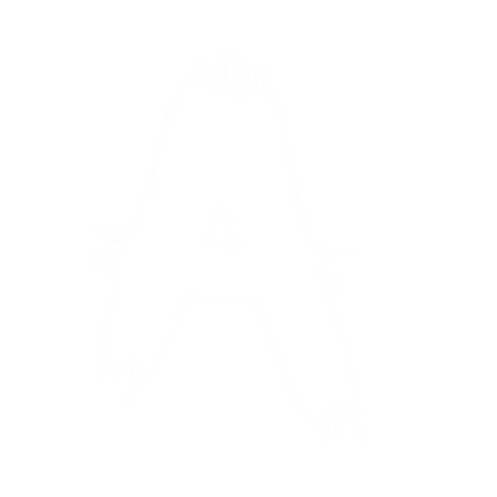 ak_saini_devil