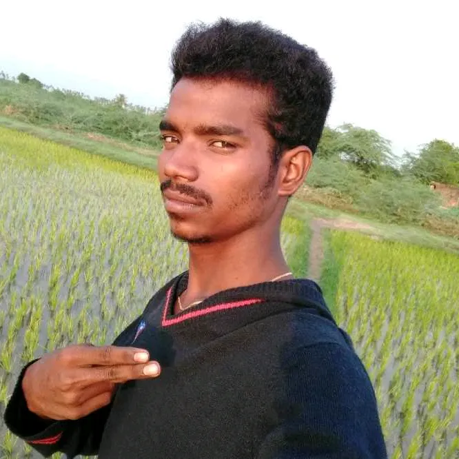 @sivakumar1255