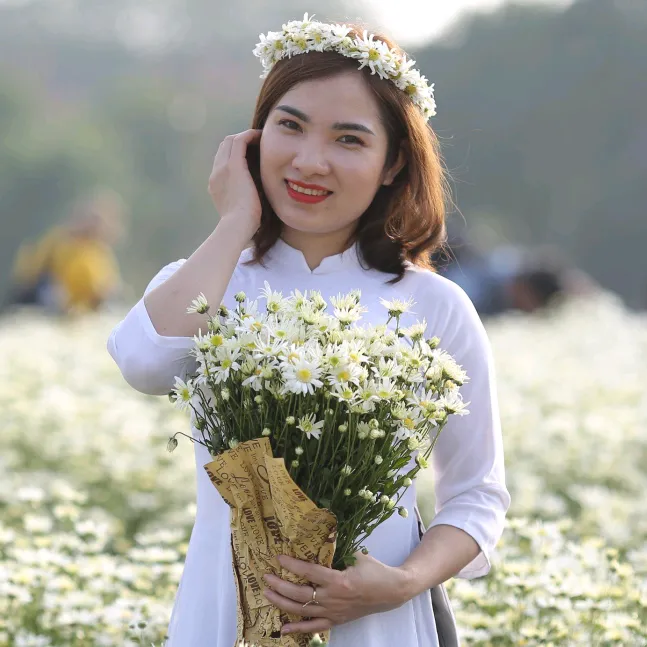 phuong.nauli