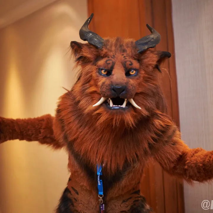 shangfudog