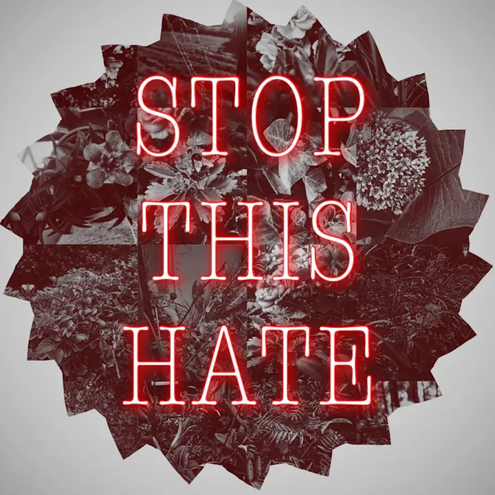 stopxthisxhate - Originalton