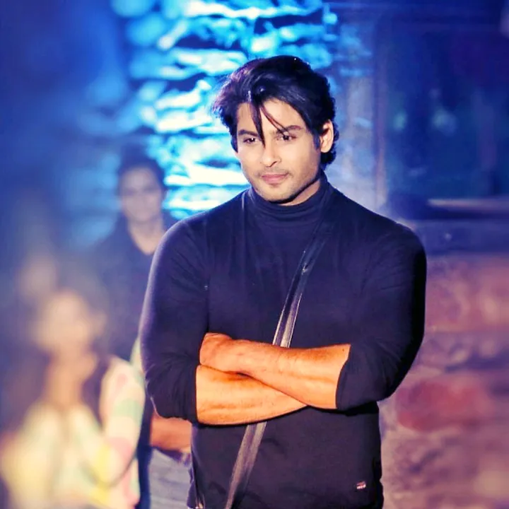 _dilse_irfa