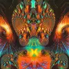 zanleeharmse02